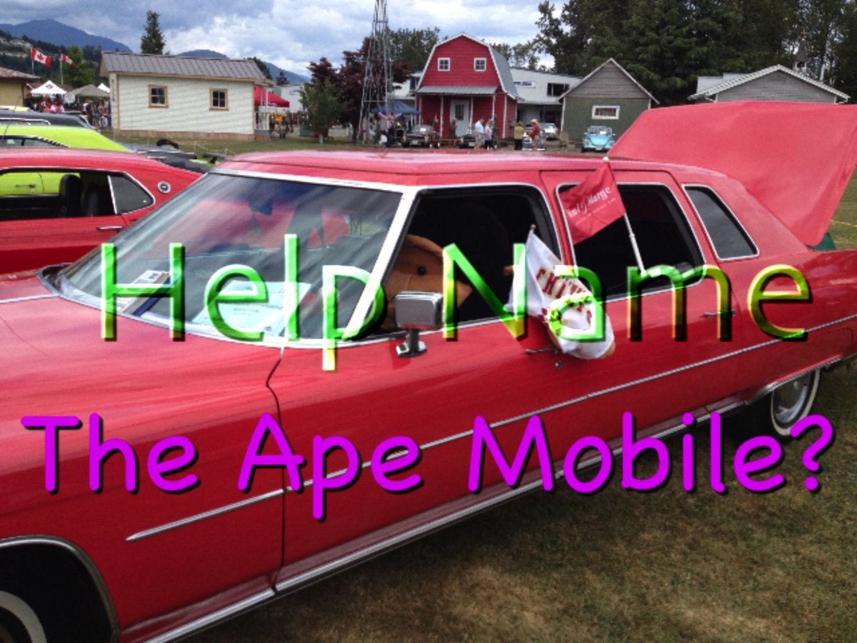 bongo_tongo's tweet photo. @PBCFilmandTV @Jonathan_Ferris @nuascannan @Chiefs_Hockey @DavidMLatt @jamiebernadett
#helpname the Ape's New Ride #cadillac https://t.co/d4TFgdF5Rv