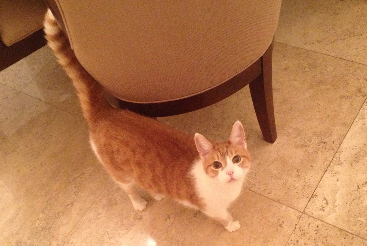 jacksonhering4's tweet photo. Rest in Peace little one 😥 21 years of fun times https://t.co/lZJvJjJR8F