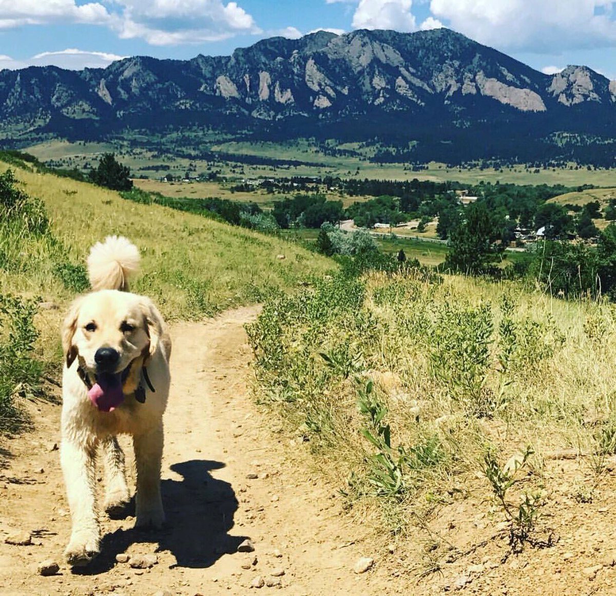 AboutBoulder's tweet photo. Happy Tuesday πΆ #AboutBoulder https://t.co/tmfBzWkXa6