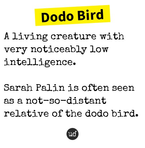 Urban Dictionary On Twitter Urbanictweeter Dodo Bird A Living Creature With Very Noticeably Low Intel Https T Co Kxffvvsn37 Https T Co Svynccub2n Twitter
