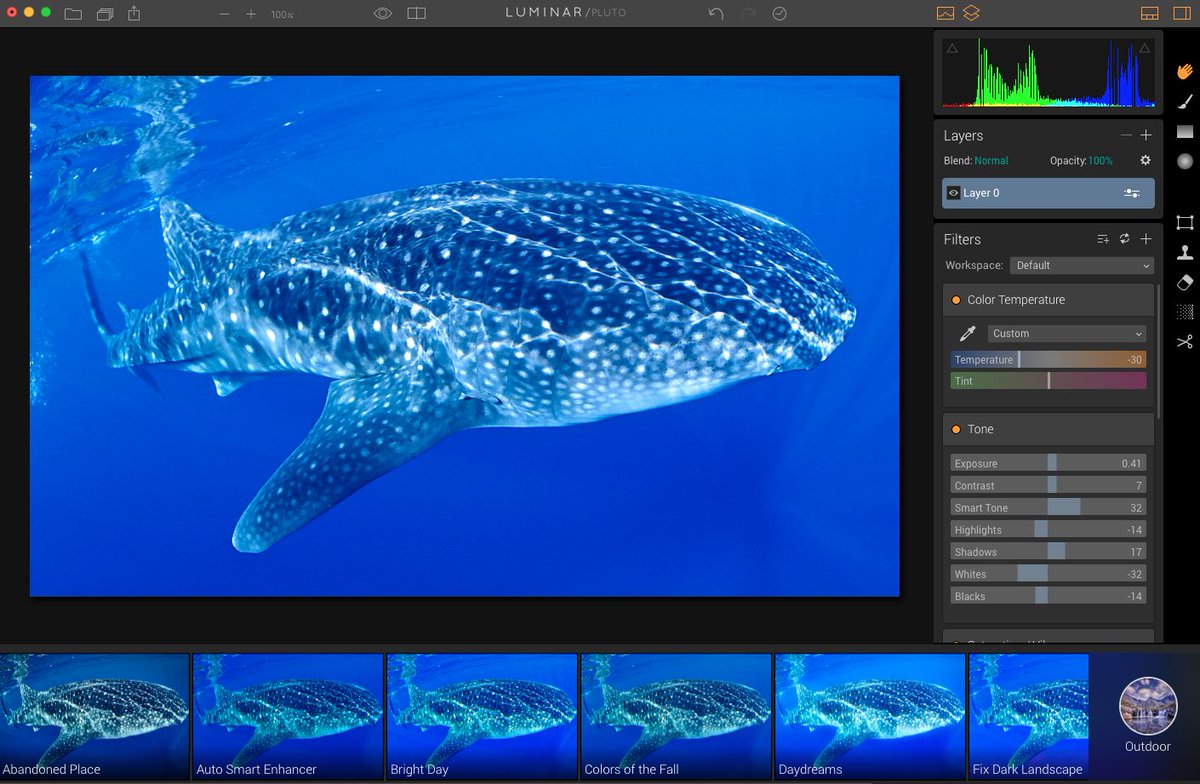 ricksammon's tweet photo. I'm having a whale of a time with Luminar. Dive in: https://t.co/rCJTXZse2x  😎 @wearemacphun  @lauriearubin https://t.co/jwoy7omHgF