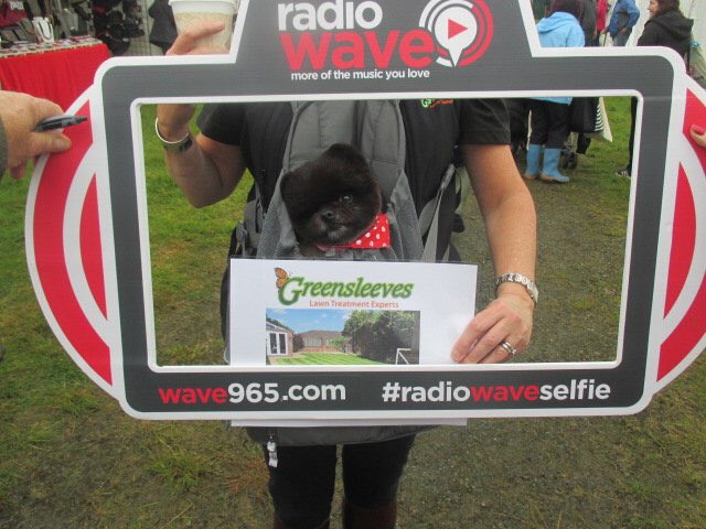 <a href="/MrTThePomUK/">Mr T The Pomeranian</a> helping <a href="/GSNWLancs/">GS NorthWestLancs</a> <a href="/GreatEccShow/">Great Eccleston Show</a> Great to see @965RadioWave