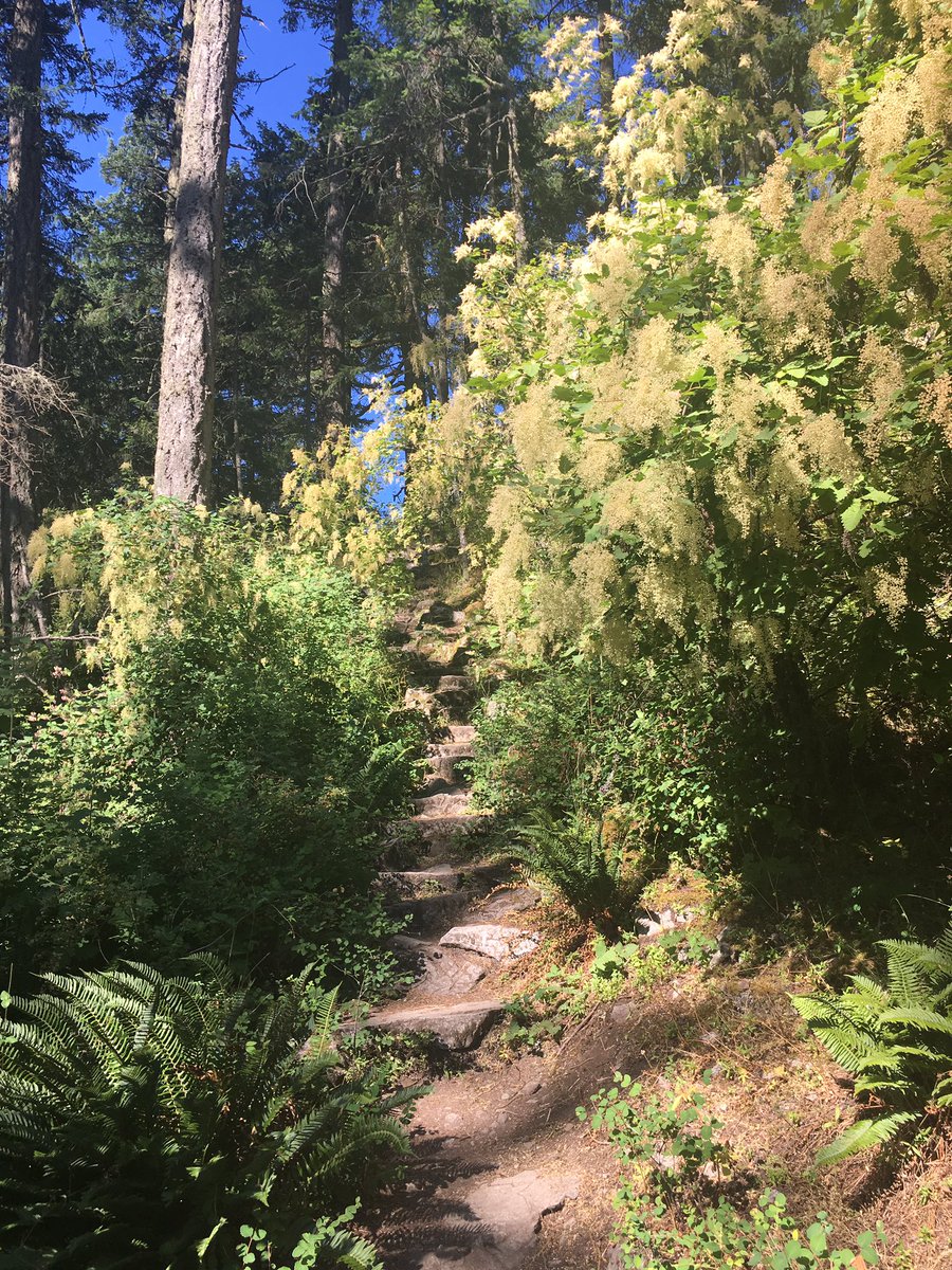 ShealynJack's tweet photo. Lovely run through the trails this morning in north sannich on Vancouver island in beautiful BC 💕💕 #run150 https://t.co/w5iSKSUs5N