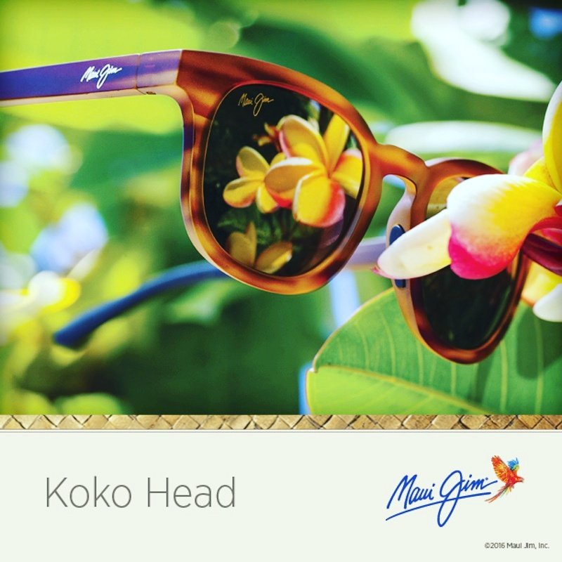 Sharona_Optical's tweet photo. Check these out! Come in for special deals! #MauiJim #Sunglasses Tuesday, July 25th from 8-4pm 🤓😎🤳👌😙🏖🏜🏝 @OfficialMauiJim @AZLasik #Phoenix https://t.co/TN7ffrVwbj
