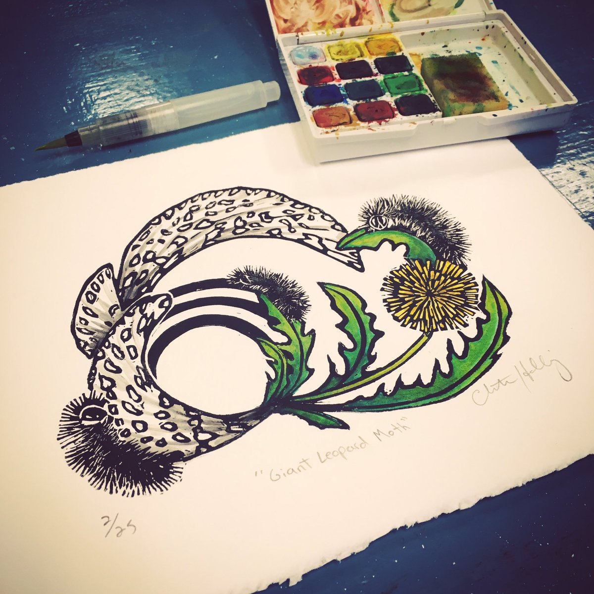 ChristinaHoller's tweet photo. Painting these #giantleopardmoth prints up. #printmaking #watercolor https://t.co/IzKTv1S8Jp