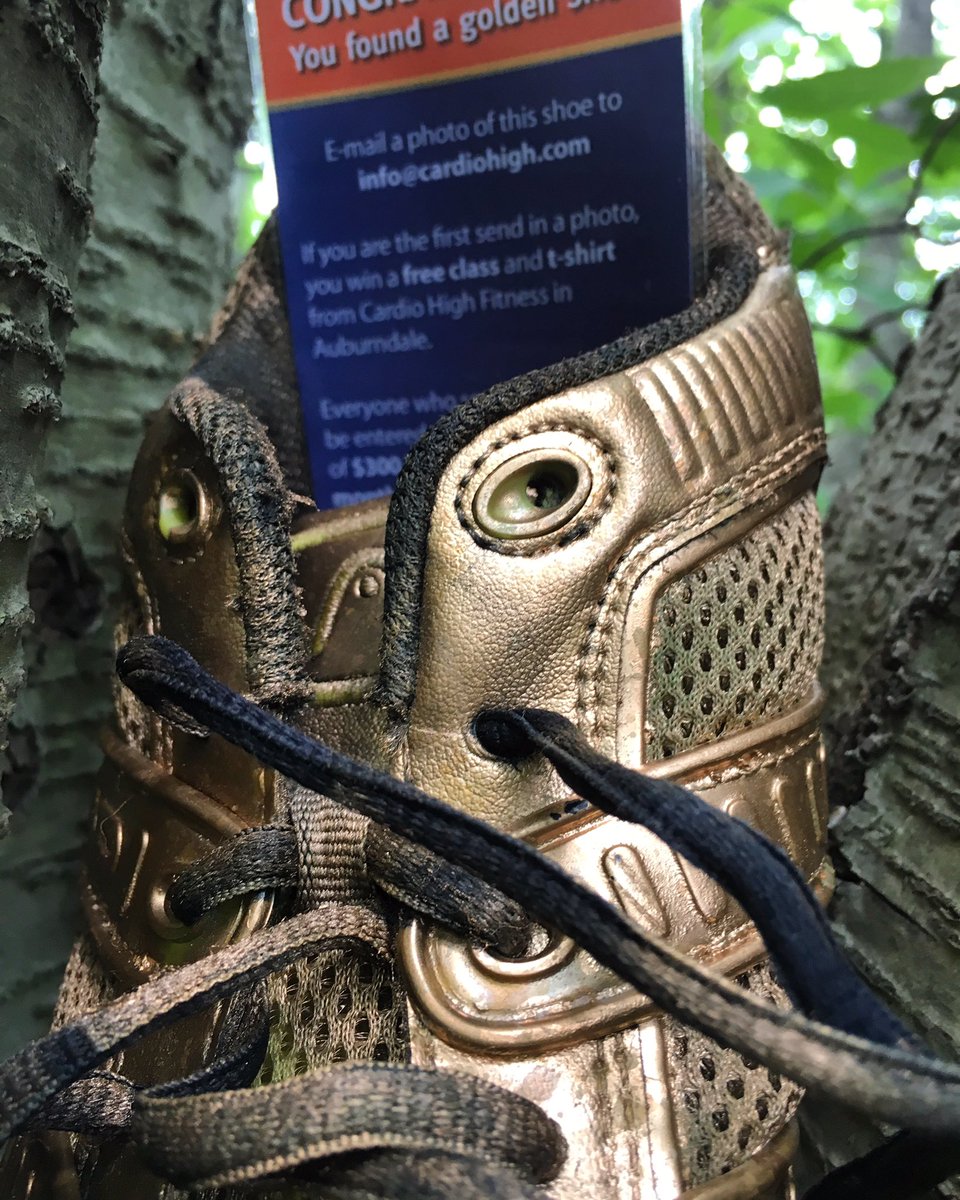 The golden shoes are back in Auburndale. Final week. Four shoes.
