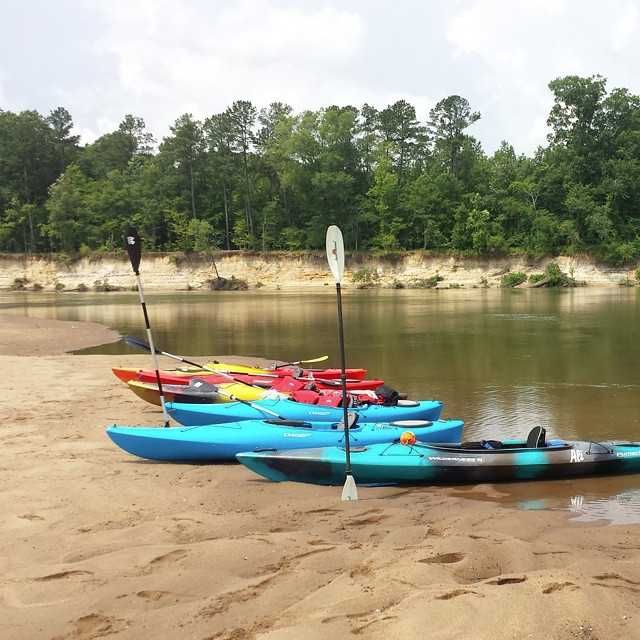 WLTX's tweet photo. Headed to The River? Check the Water Quality Before You Go. https://t.co/7T756KbCAD #scrivers #scnews #sctweets https://t.co/gaWUANzsEX