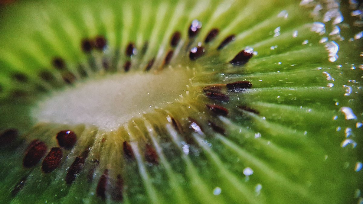 jemax_arq's tweet photo. Kiwi.
#macro #macrophotography #zoompic #zoom #closeup https://t.co/JwMblzLhTx