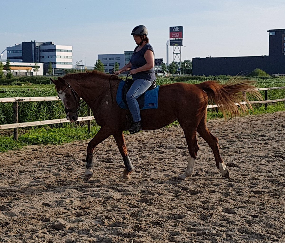 Yes Yes!! Without fear Finally back on track. Thanks for the community and support <a href="/MyPeakChallenge/">My Peak Challenge</a> <a href="/DutchPeakers/">Dutch Peakers™️</a> <a href="/SamHeughan/">Sam Heughan</a>