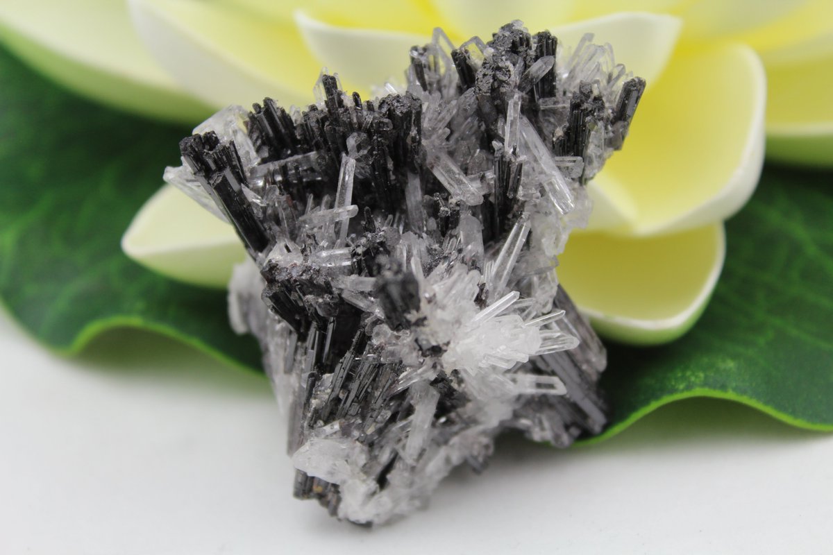 celestialearth7's tweet photo. Hubnerite and Quartz Crystal Cluster Mineral Specimen HUBN1
#CelestialEarth7 #etsy https://t.co/do6RRtzIdw