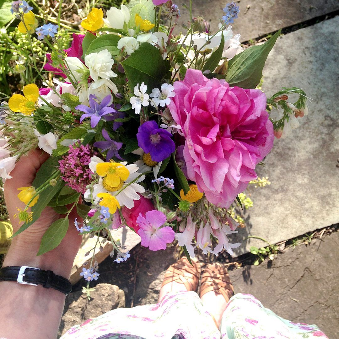 SimpleStylishM's tweet image. The last few days of June are upon us.

So it's the last chance to get your Gardening jobs for June completed

bit.ly/2t9YRgH