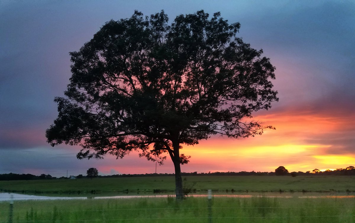 "Whoever is careless with the truth in small matters cannot be trusted with important matters" ― Albert Einstein