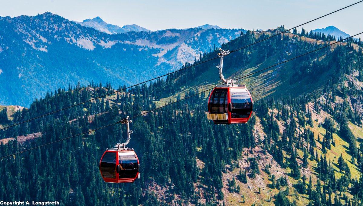 Visit Rainier tweet media