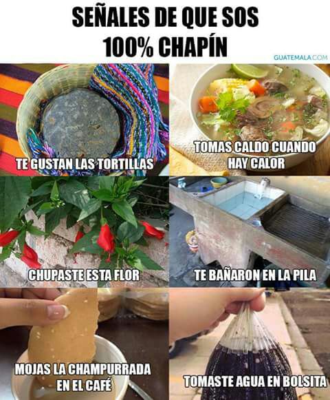 soyalemap's tweet photo. #Sos100%Chapín https://t.co/iWJvFGJuUQ