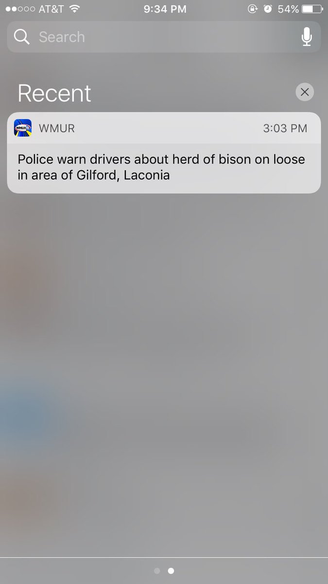 Sharbeartweets's tweet photo. The most New Hampshire notification I've ever had. https://t.co/UfVqde99vu