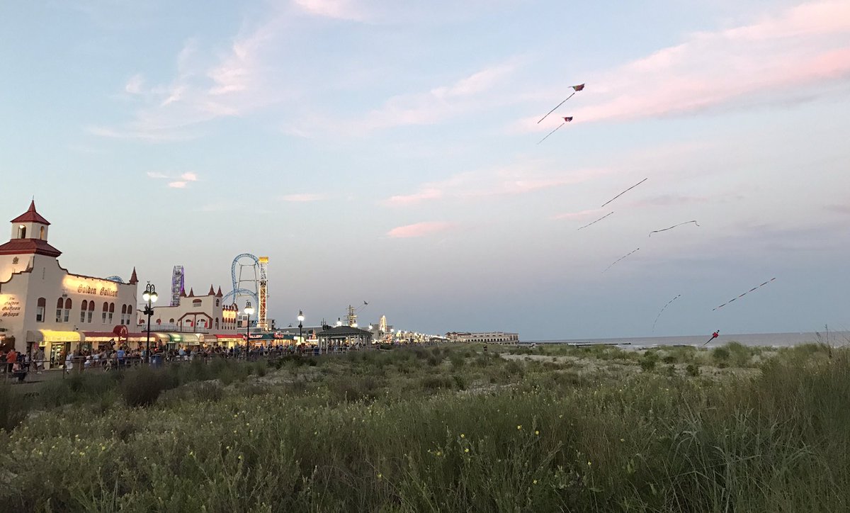 Air Circus Kite Shop tweet media