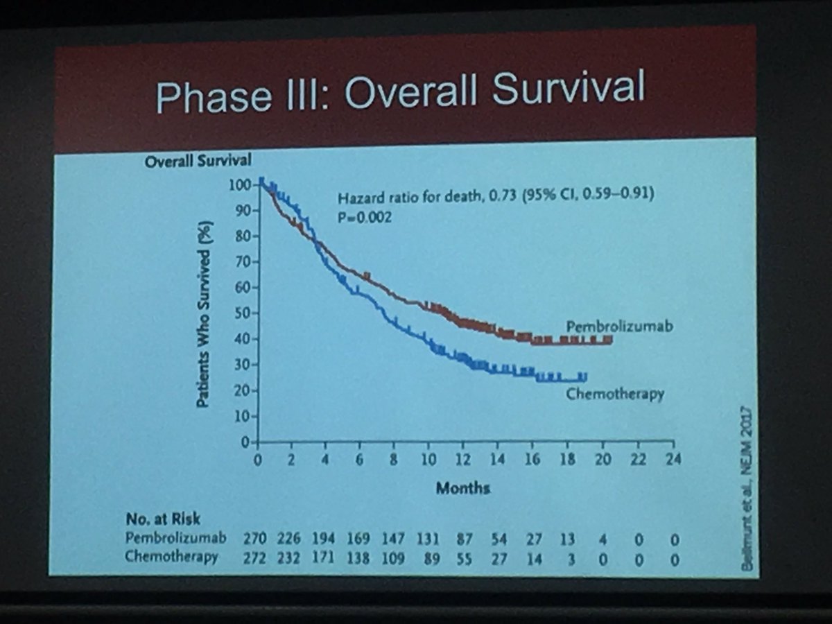 Todd Manning tweet media
