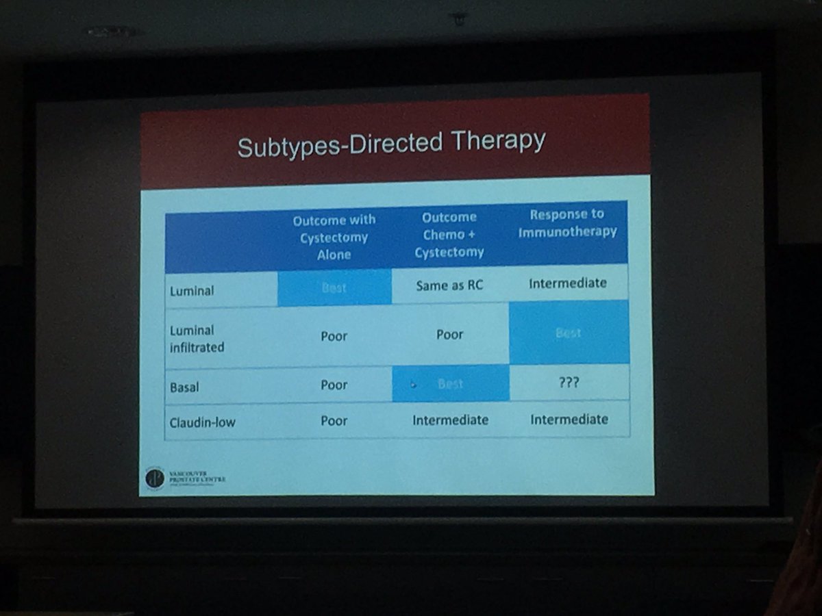 Todd Manning tweet media