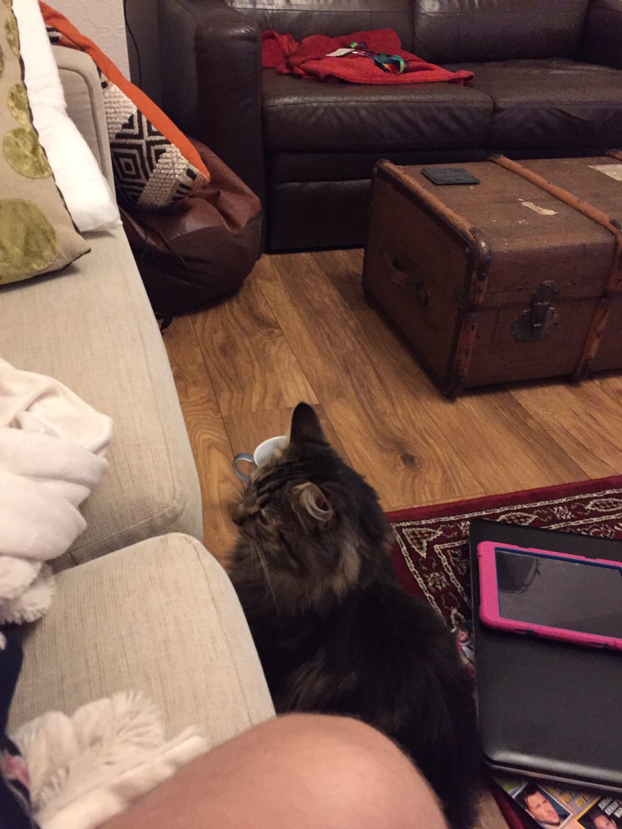 Adam Ruddick (@Rudderss) | Twitter