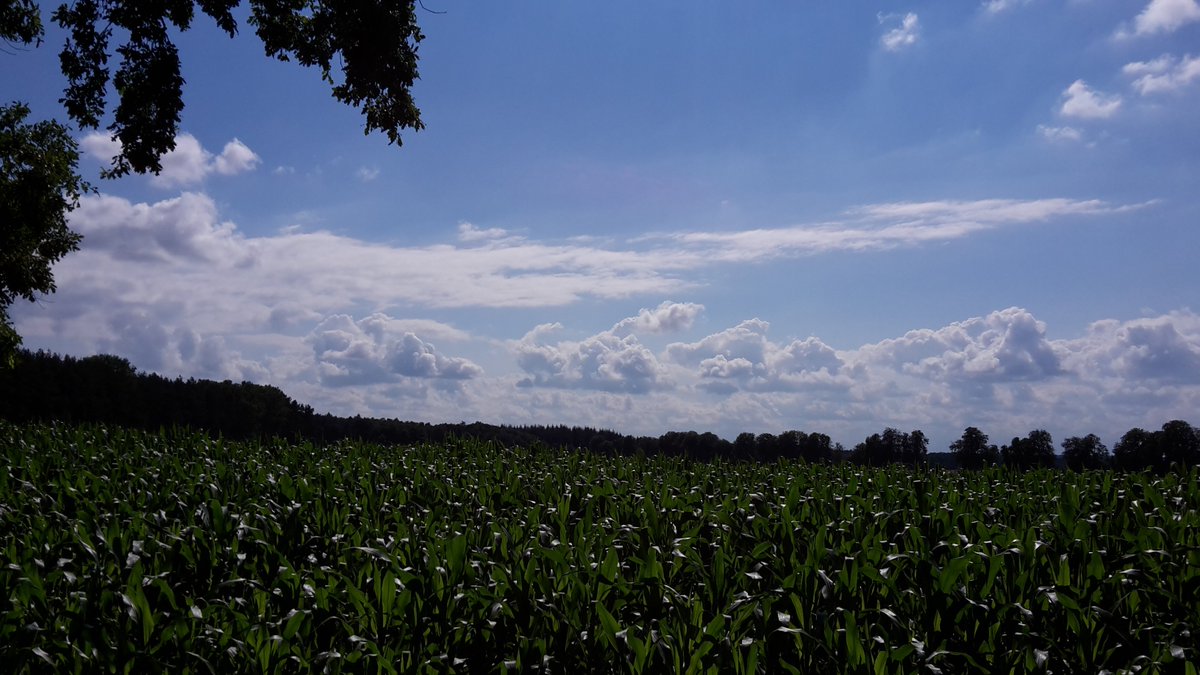 ✧ Mal ein Bild von meiner Strecke, der Radweg bei Dallmin! ツ 🚲 ✌✧ #Unterwegs #Sonne #Wolkenspiel #super #amüsiert