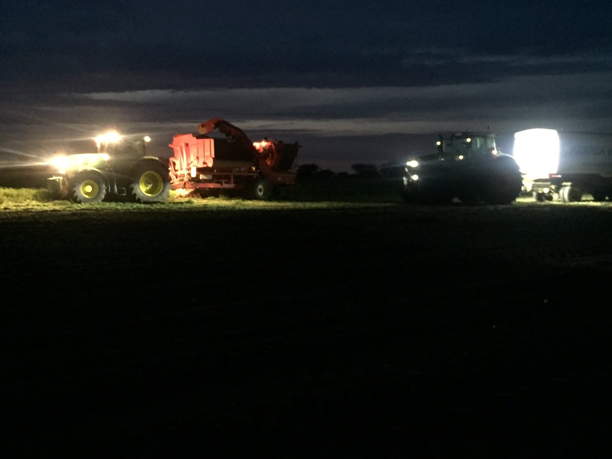 fleming_duncan's tweet photo. Where would we be without a dedicated #highlyskilled #team #toplifting #fendt1050 @WestropeFarming @SuffolkProduce https://t.co/w9IRvUMoMX