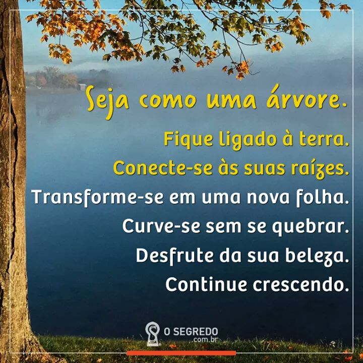 Malcolm brotas (@capsula45) on Twitter photo 