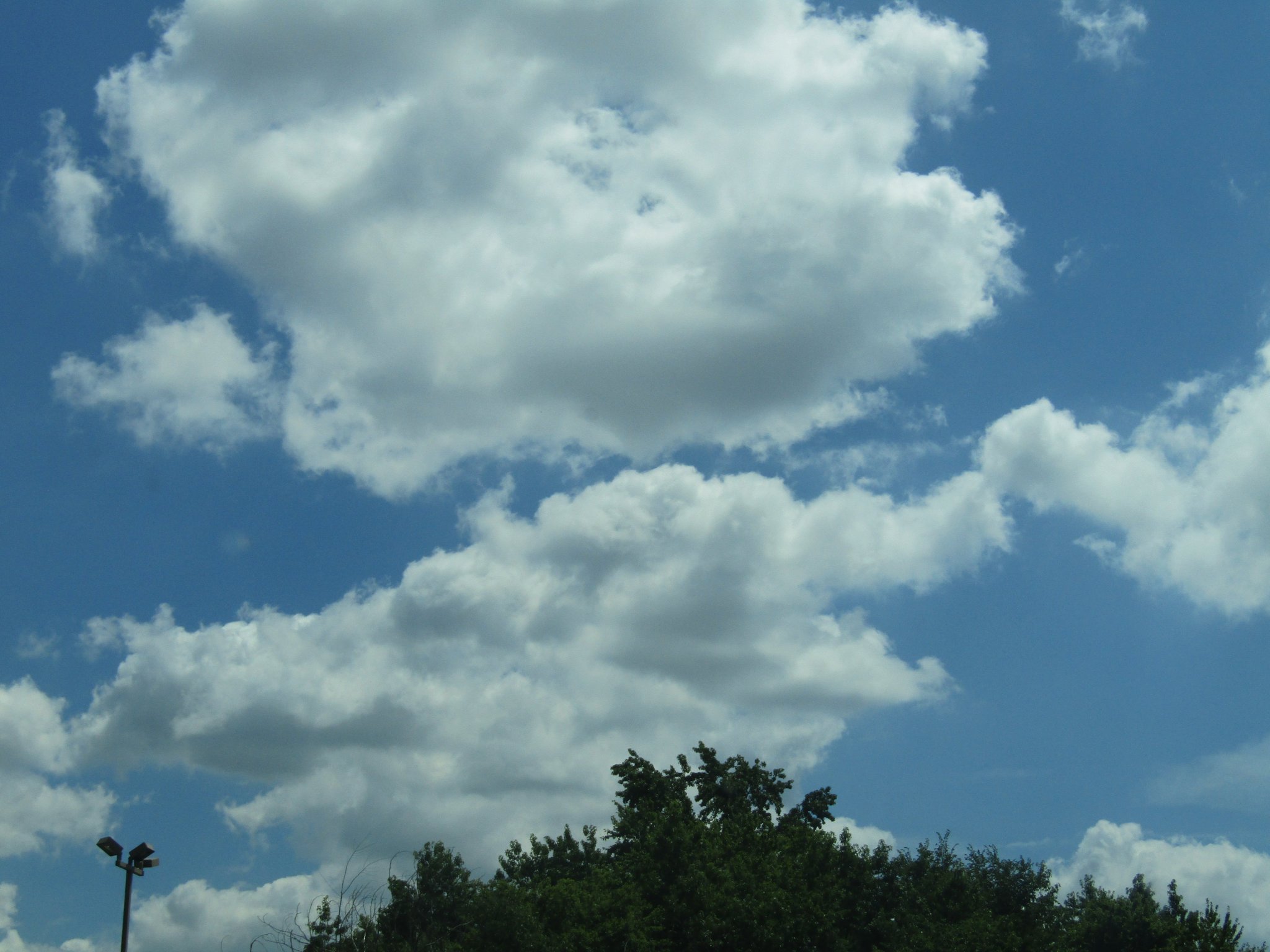 Happy Birthday I had no idea it was your birfday! Im sorry Im late.  Hope you had a great day! 