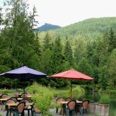 Visit Rainier tweet media