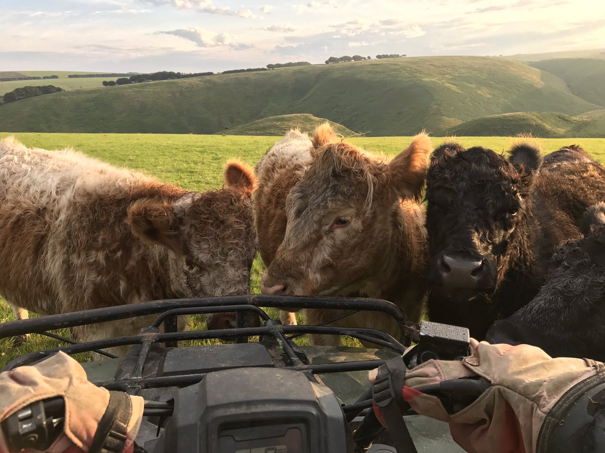 newlandfarm's tweet photo. #Quadblock https://t.co/irtF2S1WPj