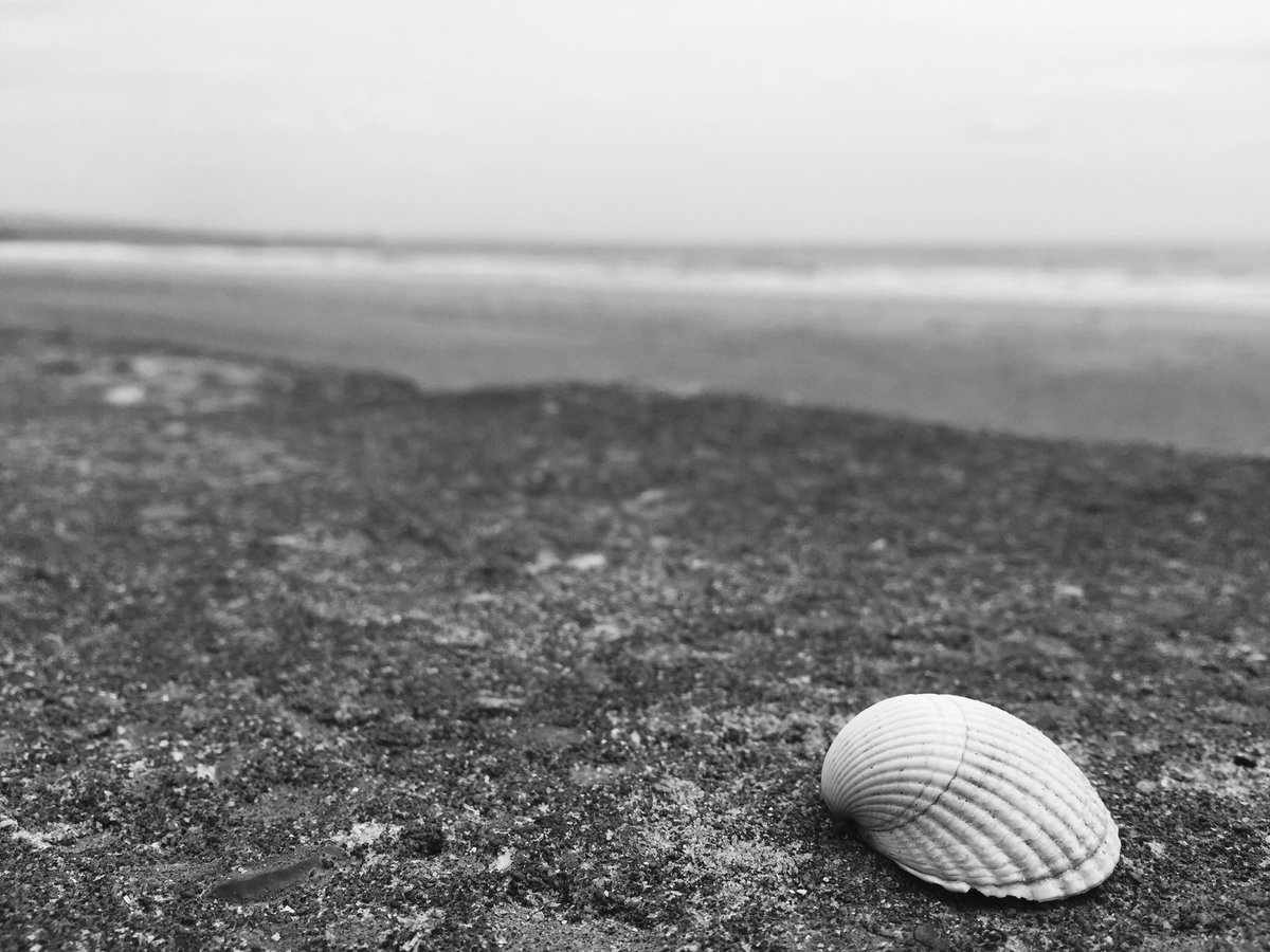 johny1290's tweet photo. Down the bay again, had to get my camera out for a quick picture 😋 #photography #swansea #beach #sea https://t.co/bT7KgL1BP2