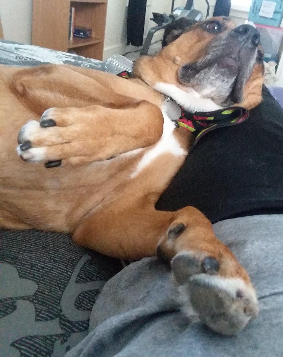 Mom is tired from working out... well then stop working out!!