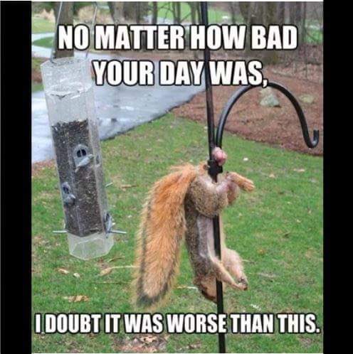 Gym Rats Welcome tweet media