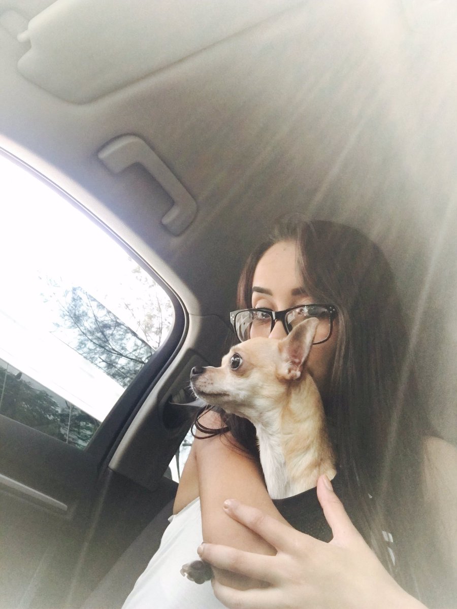 chelcie_mr's tweet photo. Paseando al nuevo crio #RamonAlberto https://t.co/WWhydO3RmD
