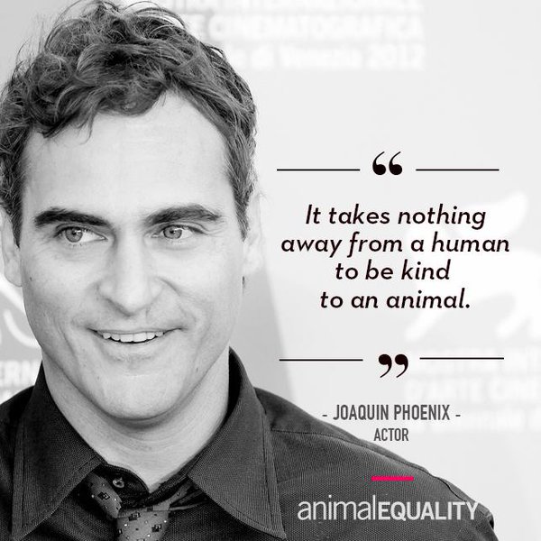 AnimalEquality's tweet photo. RT if you agree with Joaquin Phoenix! https://t.co/TztTRTraN2