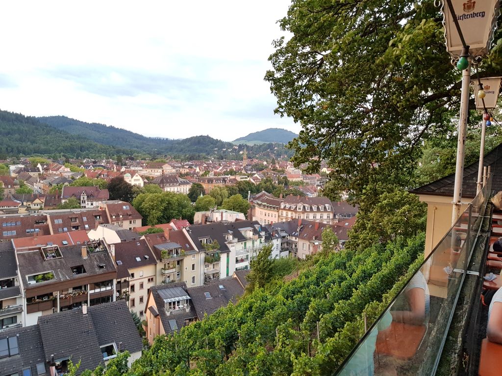 franconiafr's tweet photo. Fuxenstunde auf dem Schlossberg https://t.co/gWhw9ATMRr