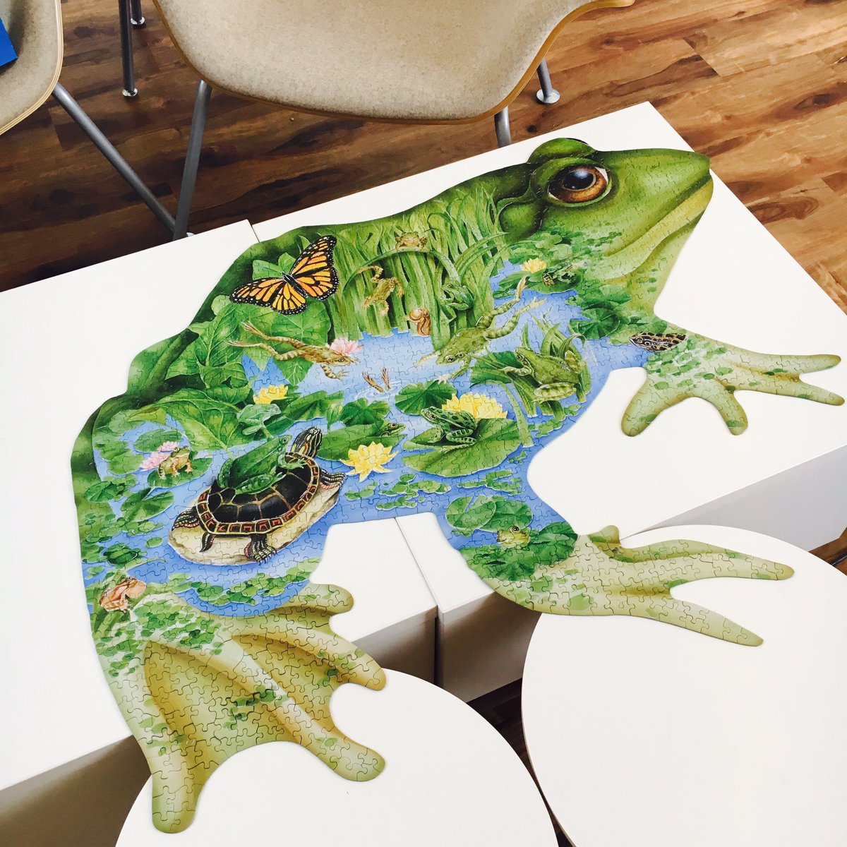 ajzellmer's tweet image. Great accomplishments happening in #OxyCompBioLab this summer! #herpsci #sorrynotsorry #puzzle @realcoolkatz @pavlinaslezak @roshnikatrak