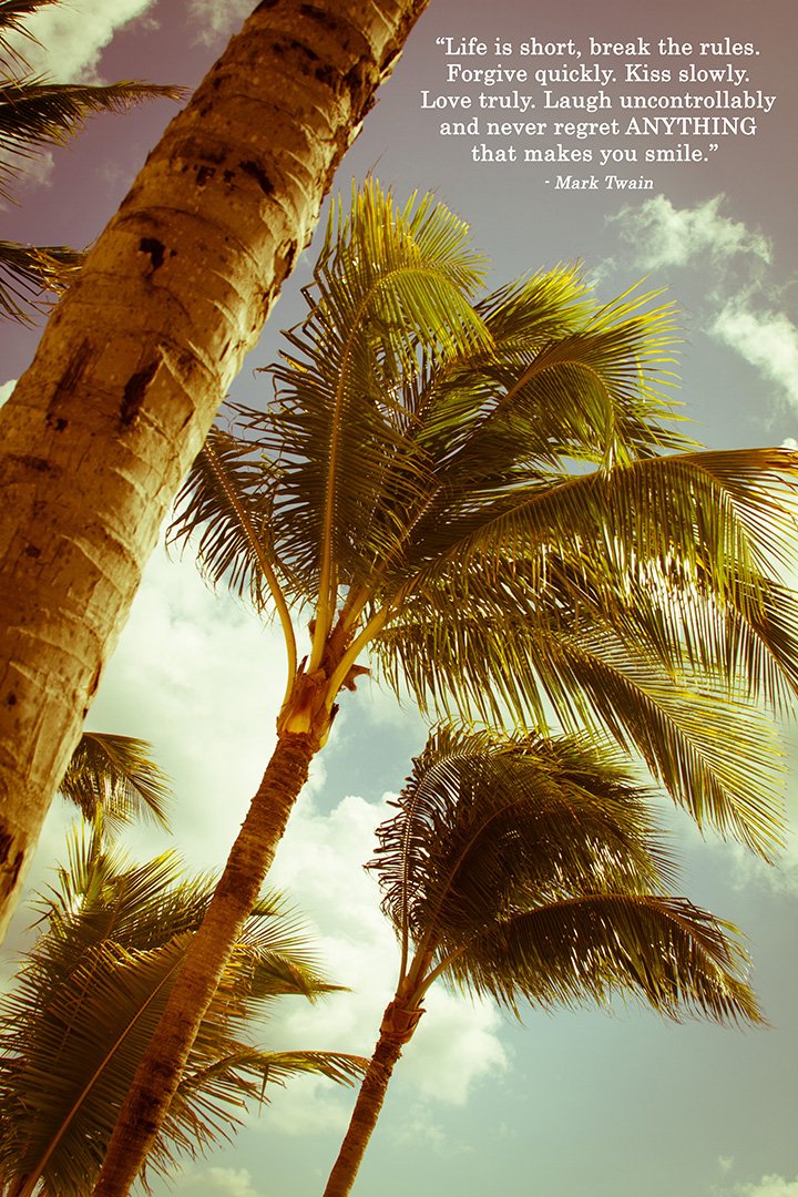 ArKaneCreative's tweet photo. Love this saying! Happy #TropicalTuesday ! 
#palmtrees #marktwain #beach https://t.co/dv1QWPuVK1
