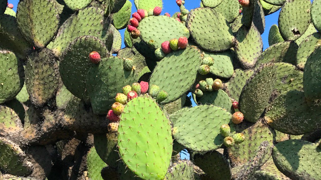 thinkingiswrite's tweet image. San Diego to Tucson to Santa Fe in Six Days writingisthinking.org/2017/07/18/san…