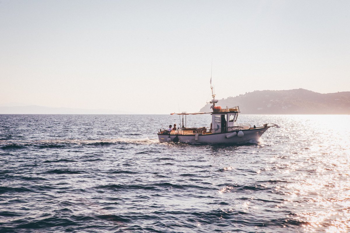 WylandORG's tweet photo. A major threat to coral reefs is unsustainable fishing. Knowing your favorite wild-caught fish season can help preserve our reefs. #reefweek https://t.co/Zo3doALusB