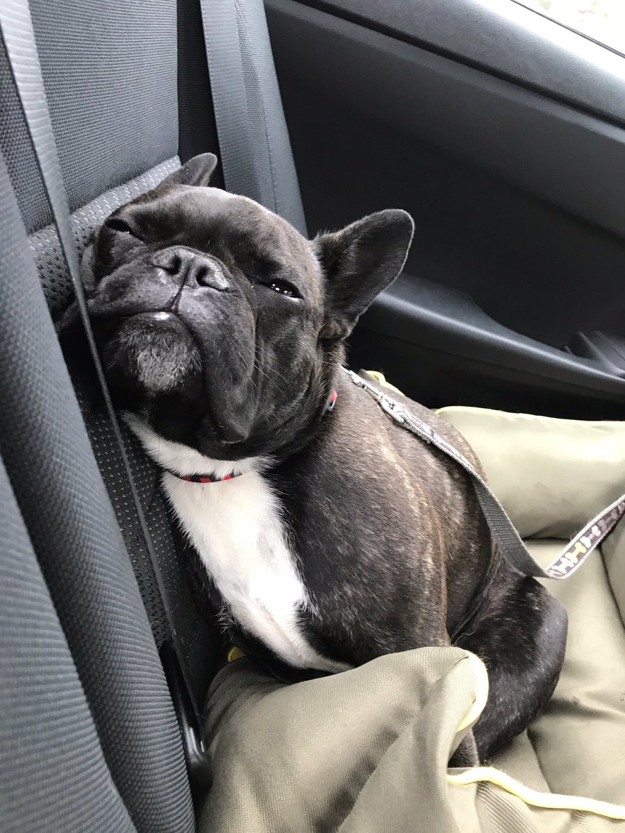 brucebenin's tweet photo. Can it be the weekend already https://t.co/wAjGrOdb4s