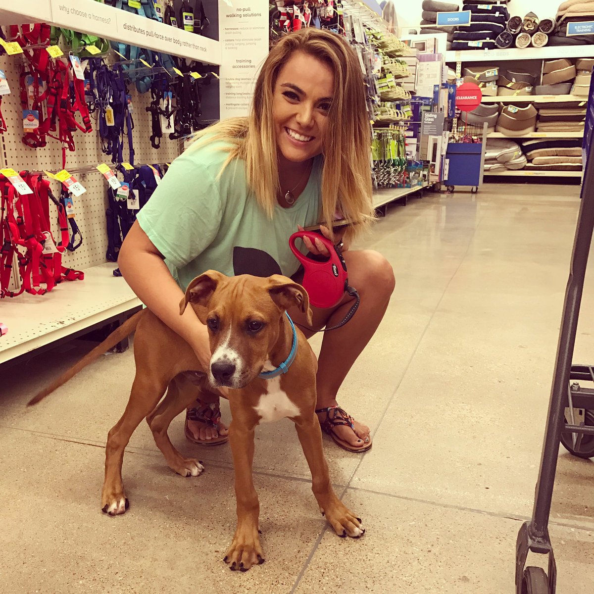 KenzieTay13's tweet photo. Everyone meet Maddox🐶❤️❤️ https://t.co/lseZIozjD7