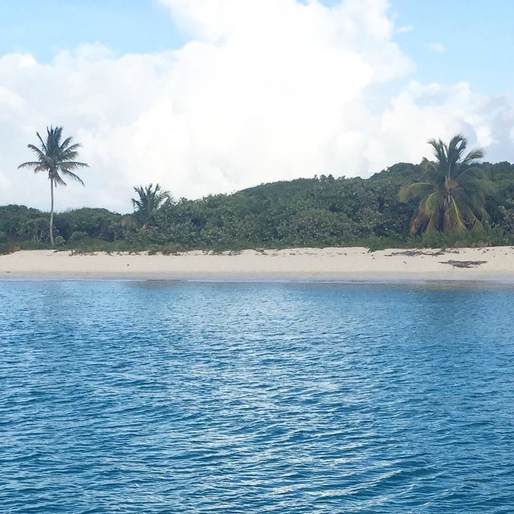cboxplastic's tweet photo. Woke up and swam to this beach this morning. All before coffee. #pleaserepeat #swimacrossthecaribbean #5gyres https://t.co/4yBtE5bOk1 https://t.co/pLTd0qzN3K