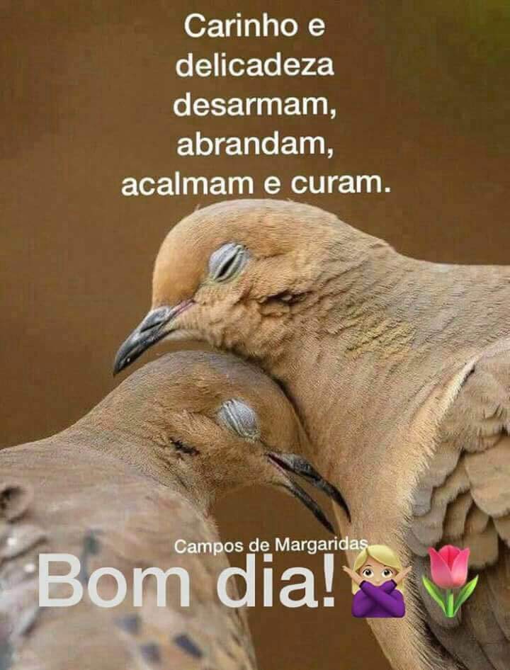 Clarissa Marinho (@clarissamariamp) on Twitter photo 