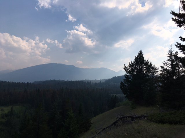 pnJasper's tweet photo. Une interdiction de faire du feu a été émise pour le #JasperNP en raison d’un risque d’incendie élevé. Détails : https://t.co/AHIuGLmgII https://t.co/IHmBJG1KV1