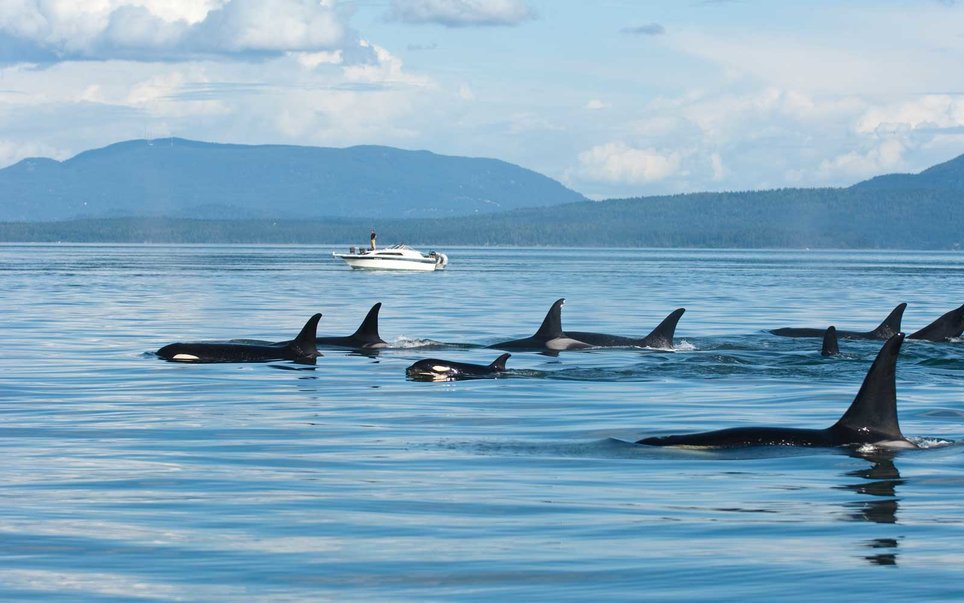 We're honoured to have been named #1 on @travelleisure's 2017 list of Canada's Best Islands! #ExploreVictoria > tandl.me/2vg2jUo