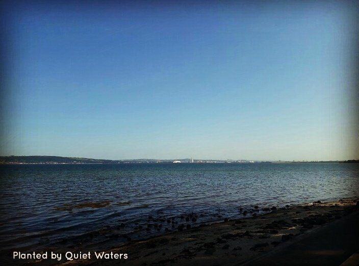 PlantedbyQuietW's tweet photo. Never underestimate a new horizon... this one holds a city!🌱
#Wondrousebwi #Imagine #newhorizons #newadventure #YES  #plantedbyquietwaters https://t.co/3FOcJyDaRc