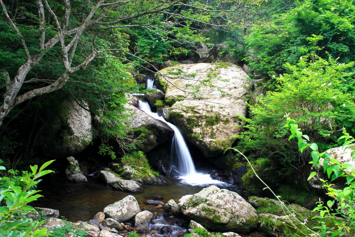 ট ইট র Kiyotaka Noda 京都のるり渓です 京都にも素敵な自然はいっぱいありますね るり渓 滝 渓谷 渓流 京都 森 川 風景 自然 写真 風景写真 写真部 景色 日本の風景 写真好き 一眼レフ 美しい風景 日本