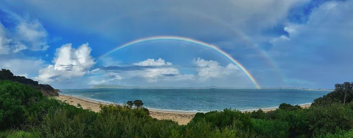 UneartheDesigns's tweet photo. My front yard this morning 🌈 https://t.co/Kg4dGZJeJb