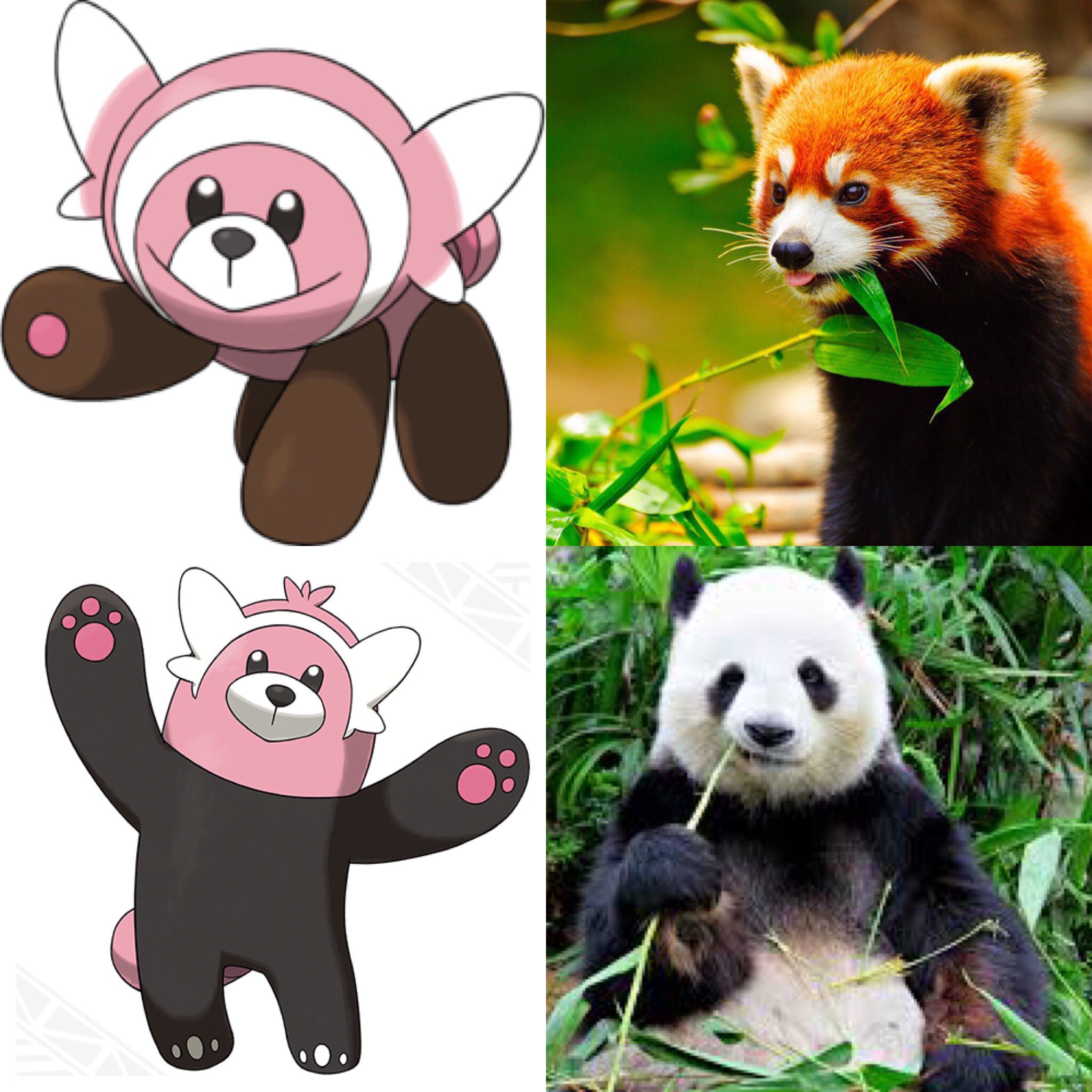Beryl Ar Twitter So I Evolve Into A Giant Panda Equips Everstone Redpanda Redpandas Firefox Firecat Beryl Cute Animal Panda Pokemon Stufful T Co Hgafksfciz Twitter