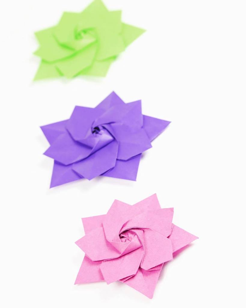 paperkawaii's tweet photo. Just posted tutorial for the Sakura Star by @alibhmni ⭐️ tutorial: https://t.co/AXk0LoiftY 🌸 #origami #paperfoldi… https://t.co/zfoA0Kmn2c https://t.co/rzFfMk8O4U